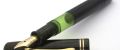 Pelikan_100N#13.jpg