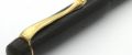 Swan-Minor-black#21.jpg