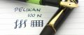 Pelikan_100N#12.jpg