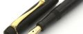 Swan-Minor-black#11.jpg