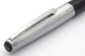 Waterman_Flash#21.jpg