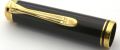 PelikanM400_tortoise#24.jpg
