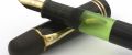 Pelikan_100N#15.jpg